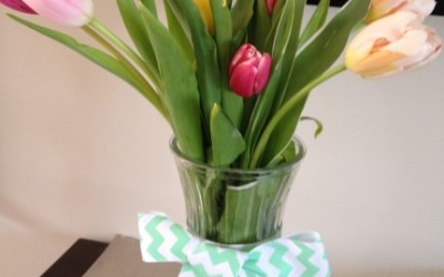 Kicking Off Spring with Tulips and How to Care for Them