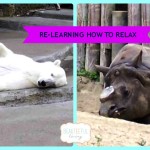 Re-learning How To Relax