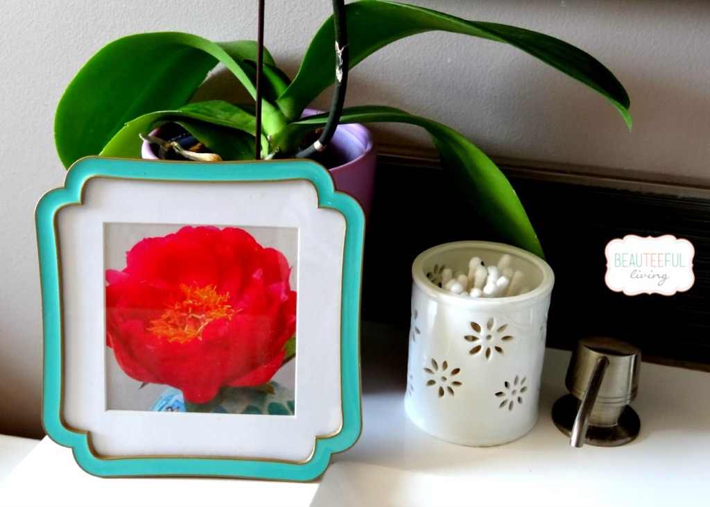 picture frame of peony