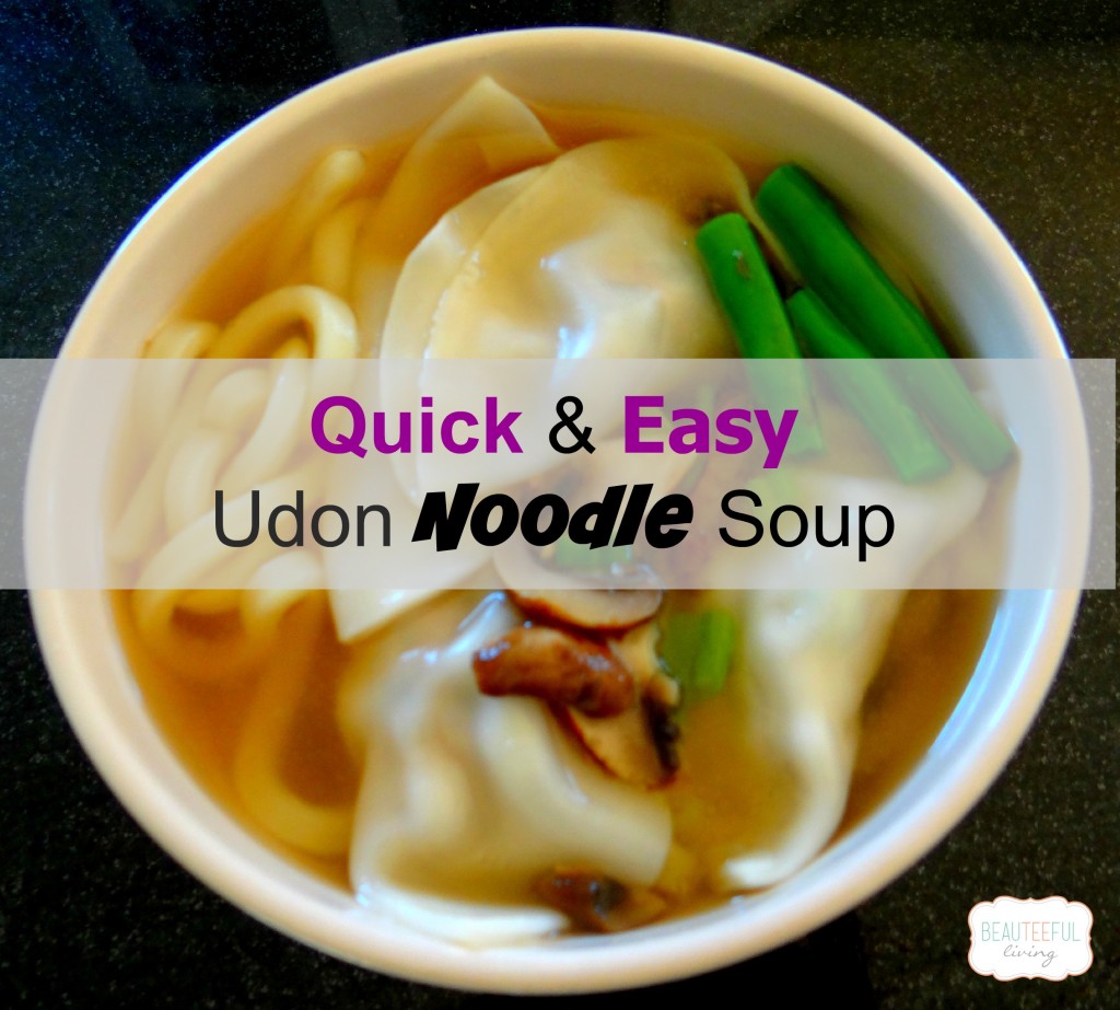 Udon noodle soup featured image