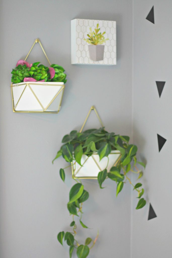 Hanging plant wall display - Beauteeful Living