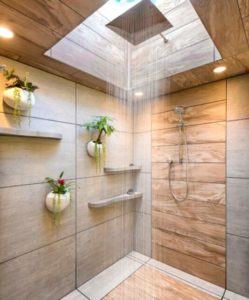 Hanging plants in shower