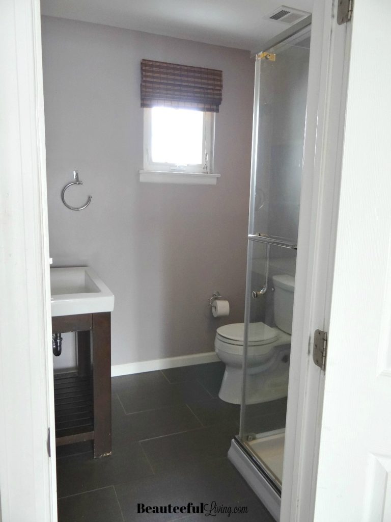 Main Bathroom Before Vertical View - Beauteeful Living