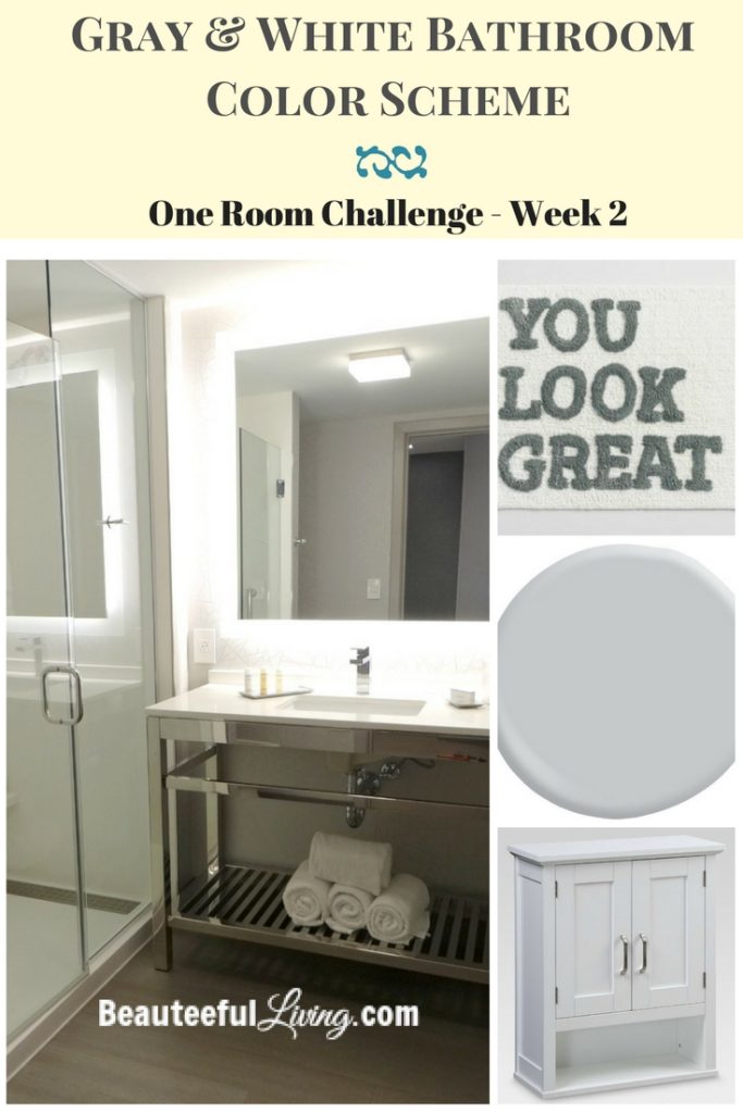 Gray and White Color Bathroom Color Scheme - ORC Week 2