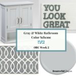 Gray and White Bathroom Color Scheme – ORC Week 2