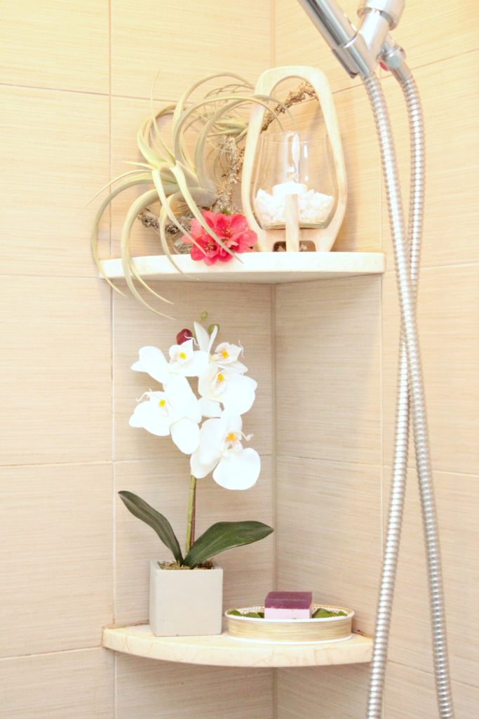 Orchids and air plant - Beauteeful Living