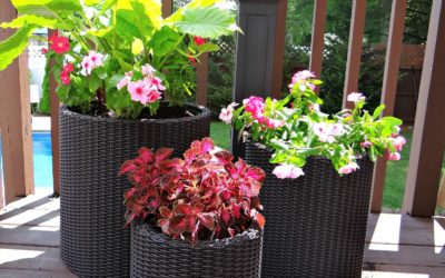 Wicker-Look Planters Perfect for Your Home