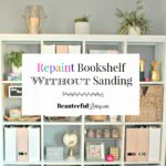 Repaint Bookshelf Without Sanding