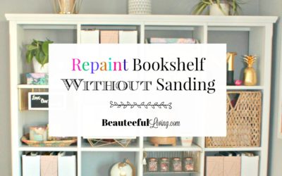 Repaint Bookshelf Without Sanding