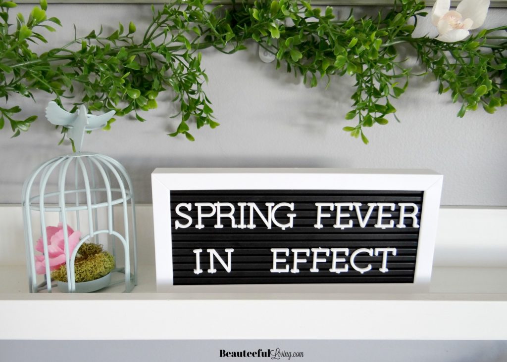 Spring Fever Letter Board - Beauteeful Living