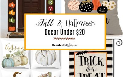 Fall and Halloween Decor Under $20 Dollars